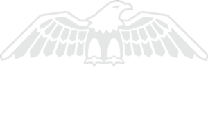 ipg-american-national-logo