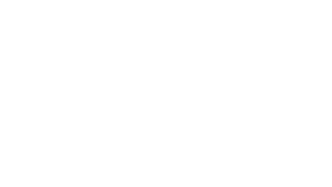 AIG_white